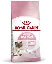 Royal Canin kattenvoer Mother & Babycat 10 kg