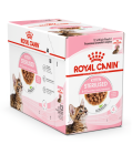 Royal Canin kattenvoer Kitten Sterilised Gravy 12 x 85 gr