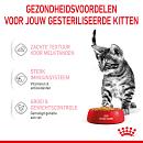 Royal Canin kattenvoer Kitten Sterilised Jelly <br>12 x 85 gr