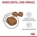 Royal Canin Kattenvoer Dental Care 1,5 kg