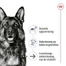 Royal Canin Hondenvoer Maxi Ageing 8+ 10 x 140 gr