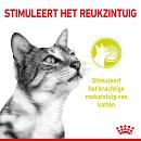 Royal Canin kattenvoer Sensory Smell in gravy 12 x 85 gr