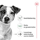 Royal Canin Hondenvoer Mini Ageing 12 x 85 gr