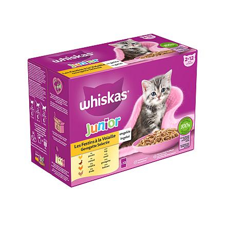 Whiskas Kattenvoer Junior Gevogelte Selectie in Gelei 12 x 85 gr