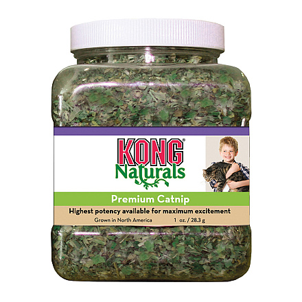 Kong potje Catnip 28 gr